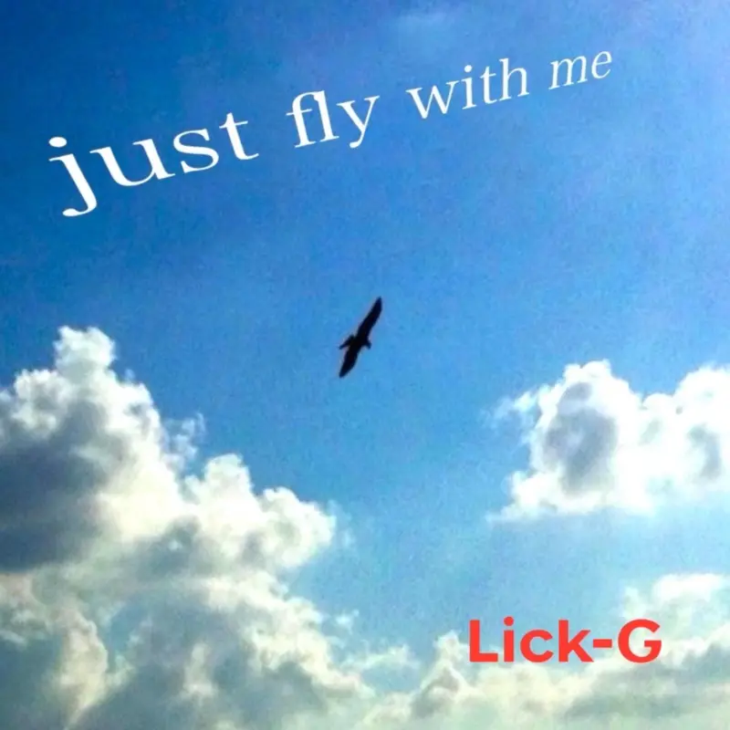 just fly with me | Lick-G